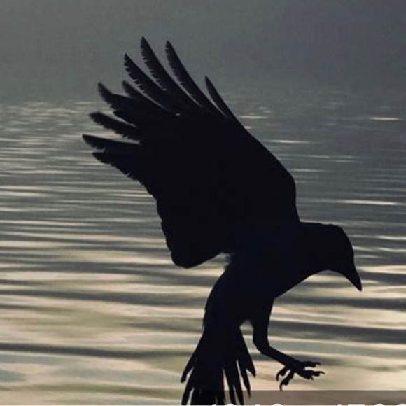 Meet your Posher - Picture 2 of 6